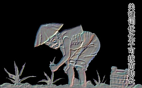 seo.jpg